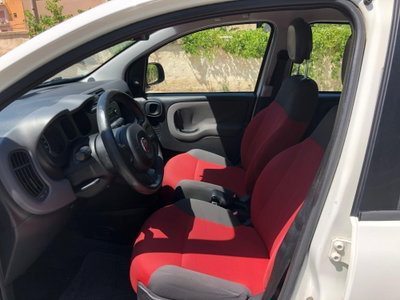 Fiat Panda 1.2 Easy (6)