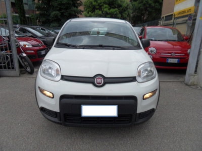 Fiat Panda van 1.0 hybrid Pop 70cv 2p.ti serie 4 E6d usato