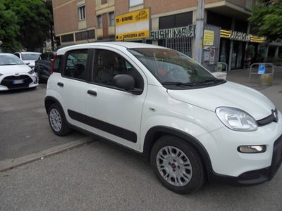 Fiat Panda van 1.0 hybrid Pop 70cv 2p.ti serie 4 E6d (3)
