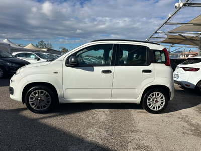 Fiat Panda 1.2 Lounge (7)
