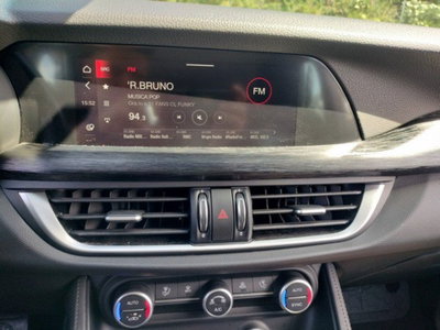 Alfa Romeo Stelvio Stelvio 2.2 Turbodiesel 190 CV AT8 Q4 Business (17)