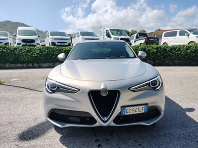 Alfa Romeo Stelvio Stelvio 2.2 Turbodiesel 190 CV AT8 Q4 Business (2)