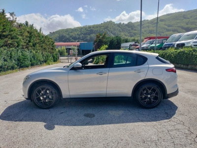 Alfa Romeo Stelvio Stelvio 2.2 Turbodiesel 190 CV AT8 Q4 Business (5)