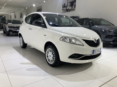 Lancia Ypsilon 0.9 TwinAir 85 CV 5 porte Metano Ecochic Gold (3)