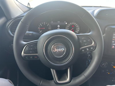 Jeep Renegade 1.6 mjt Limited 2wd 130cv (14)