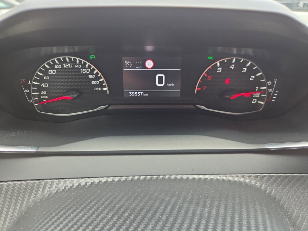 Peugeot 208 PureTech 100 Stop&Start EAT8 5 porte Active Pack (12)