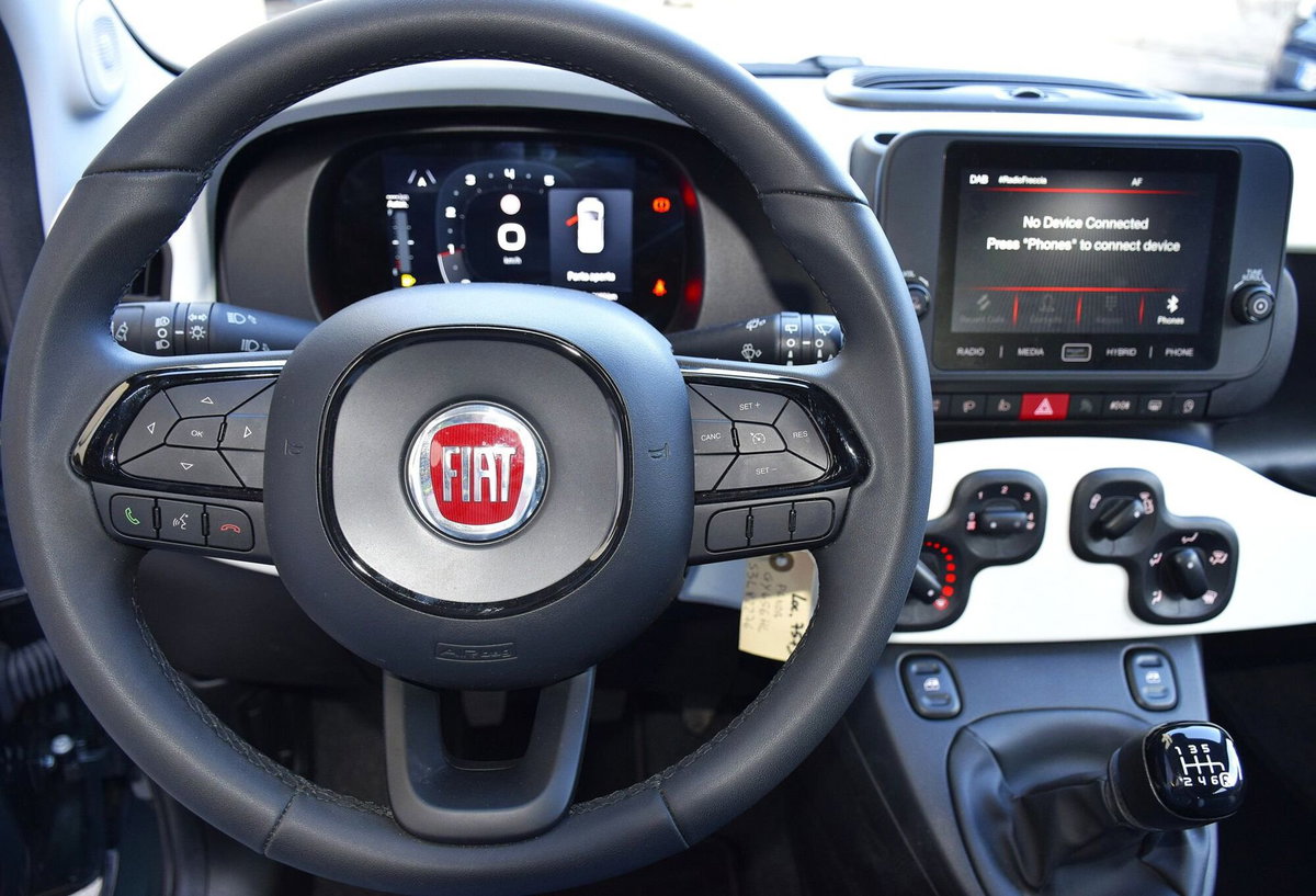Fiat Panda Cross Cross 1.0 FireFly S&S Hybrid (20)