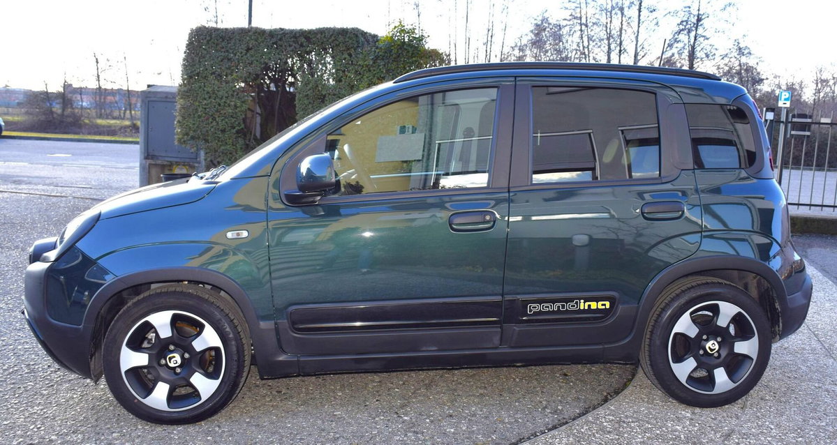 Fiat Panda Cross Cross 1.0 FireFly S&S Hybrid (9)