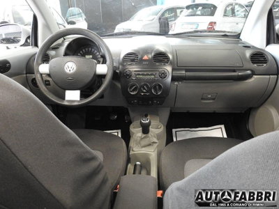 Volkswagen New Beetle Cabrio 1.6 Cabrio (16)