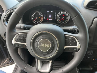 Jeep Renegade 1.0 T3 Longitude (8)