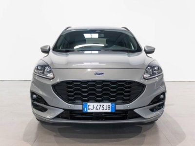 Ford Kuga 1.5 TDCI 120 CV S&S 2WD Plus (2)