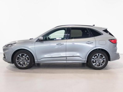 Ford Kuga 1.5 TDCI 120 CV S&S 2WD Plus (4)