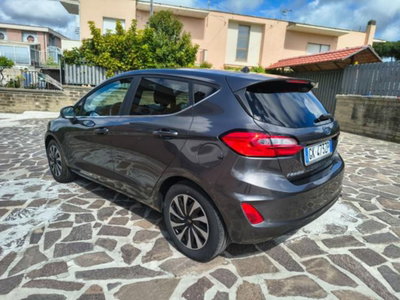 Ford Fiesta 1.0 Ecoboost Hybrid 125 CV 5 porte Titanium (3)
