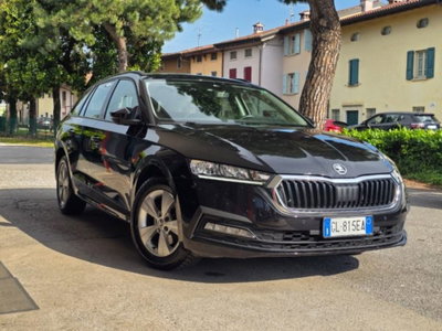 Skoda Octavia Station Wagon 2.0 TDI EVO SCR 150 CV DSG 4x4 Wagon Executive (13)
