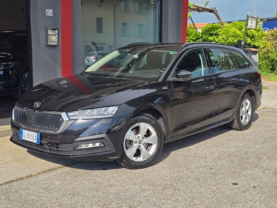 Skoda Octavia Station Wagon 2.0 TDI EVO SCR 150 CV DSG 4x4 Wagon Executive (16)