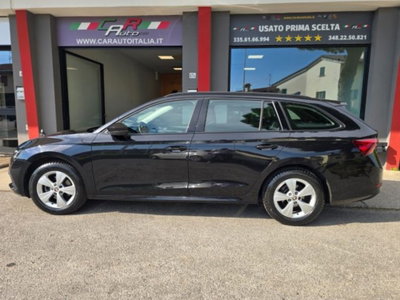 Skoda Octavia Station Wagon 2.0 TDI EVO SCR 150 CV DSG 4x4 Wagon Executive (17)