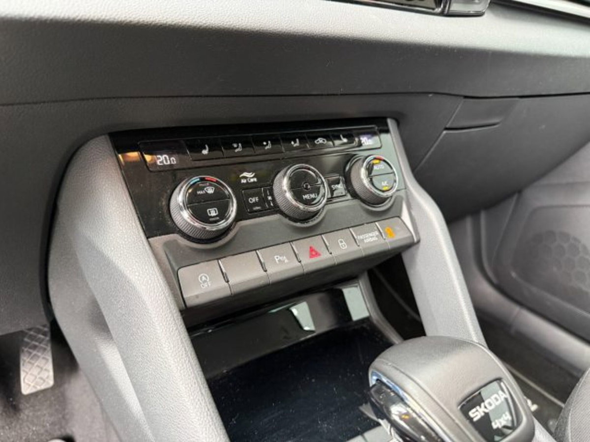 Skoda Karoq 2.0 tdi Selection 150cv dsg (18)