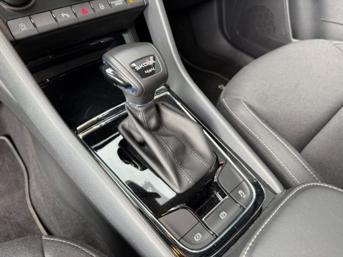 Skoda Karoq 2.0 tdi Selection 150cv dsg (19)