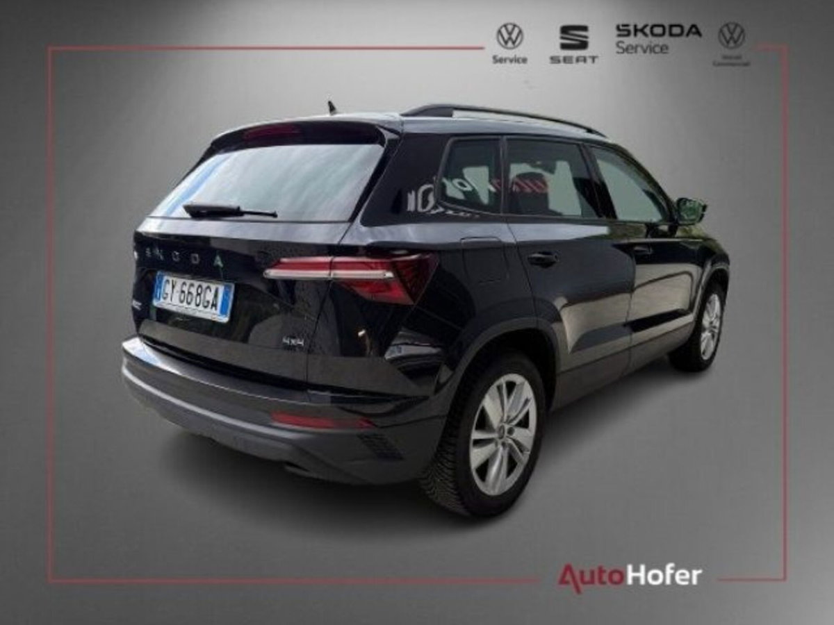 Skoda Karoq 2.0 tdi Selection 150cv dsg (3)