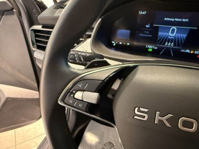 Skoda Kamiq 1.5 tsi 130 Edition 150cv dsg (9)