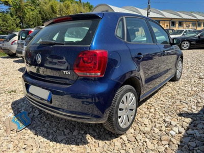 Volkswagen Polo 1.6 TDI DPF 5 porte Comfortline (5)