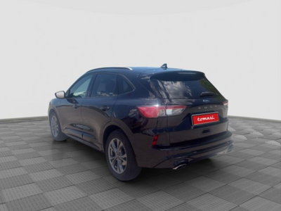 Ford Kuga 2.0 EcoBlue Hybrid 150 CV 2WD ST-Line (3)