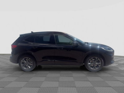 Ford Kuga 2.0 EcoBlue Hybrid 150 CV 2WD ST-Line (6)