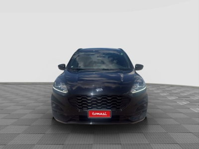 Ford Kuga 2.0 EcoBlue Hybrid 150 CV 2WD ST-Line (8)