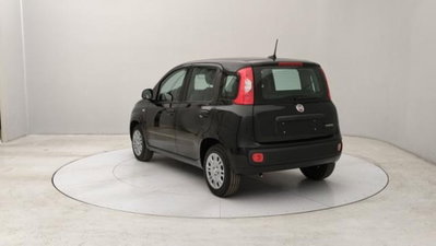 Fiat Panda 1.0 firefly hybrid s&s 70cv 5p.ti (3)