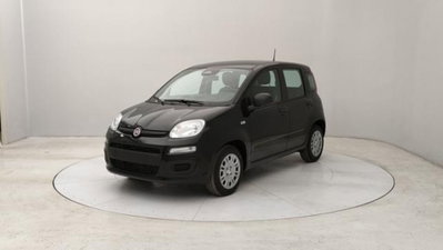 Fiat Panda 1.0 firefly hybrid s&s 70cv 5p.ti nuova