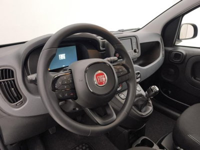 Fiat Panda 1.0 firefly hybrid s&s 70cv 5p.ti (10)