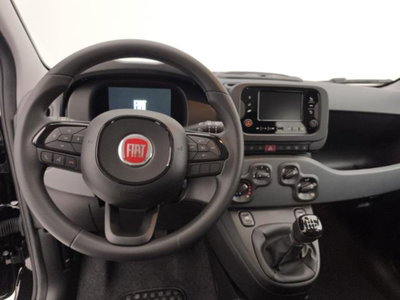 Fiat Panda 1.0 firefly hybrid s&s 70cv 5p.ti (12)