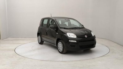 Fiat Panda 1.0 firefly hybrid s&s 70cv 5p.ti (7)