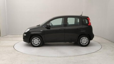 Fiat Panda 1.0 firefly hybrid s&s 70cv 5p.ti (2)