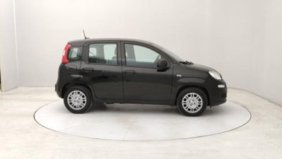 Fiat Panda 1.0 firefly hybrid s&s 70cv 5p.ti (6)