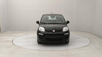 Fiat Panda 1.0 firefly hybrid s&s 70cv 5p.ti (8)