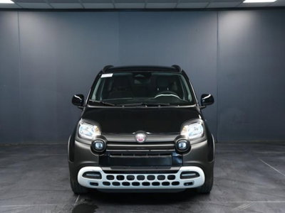 Fiat Pandina 1.0 firefly hybrid s&s 65cv (2)