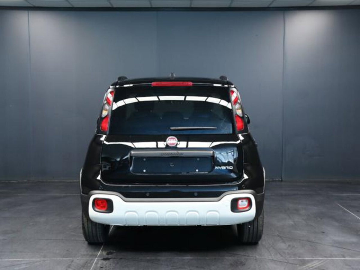 Fiat Pandina 1.0 firefly hybrid s&s 65cv (4)