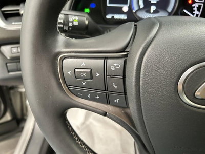 Lexus UX Hybrid 4WD Midnight (14)