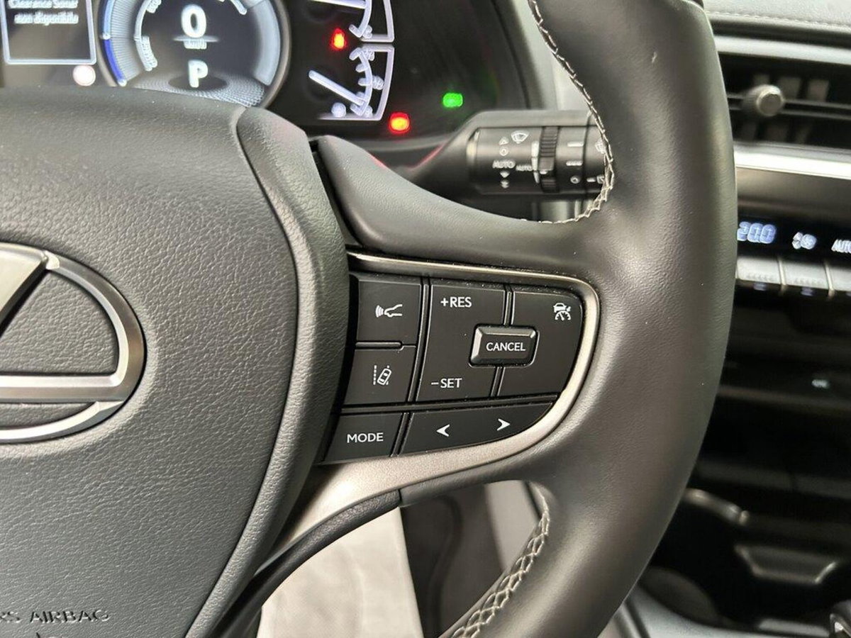 Lexus UX Hybrid 4WD Midnight (15)