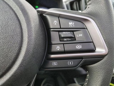 Subaru Crosstrek 2.0i e-boxer Premium (17)