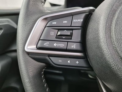 Subaru Crosstrek 2.0i e-boxer Premium (18)