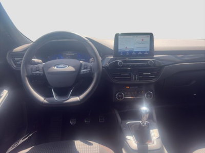 Ford Kuga 2.0 EcoBlue Hybrid 150 CV 2WD ST-Line (11)