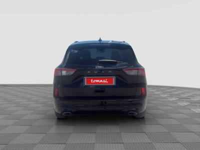Ford Kuga 2.0 EcoBlue Hybrid 150 CV 2WD ST-Line (4)