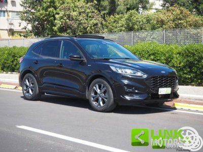 Ford Kuga 1.5 EcoBlue 120 CV 2WD ST-Line (18)