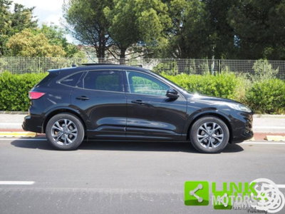 Ford Kuga 1.5 EcoBlue 120 CV 2WD ST-Line (20)