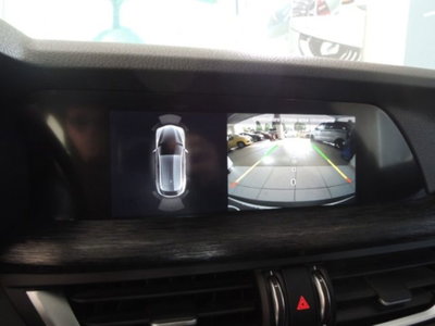 Alfa Romeo Stelvio Stelvio 2.2 Turbodiesel 160 CV AT8 RWD Super Business (11)