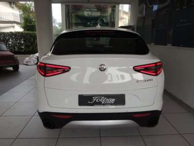 Alfa Romeo Stelvio Stelvio 2.2 Turbodiesel 160 CV AT8 RWD Super Business (5)