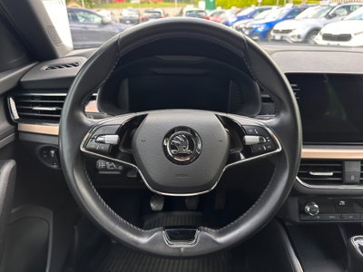 Skoda Kamiq 1.0 TSI 110 CV DSG Style (17)