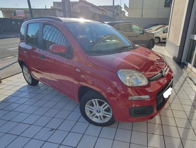 Fiat Panda 1.2 Pop usata